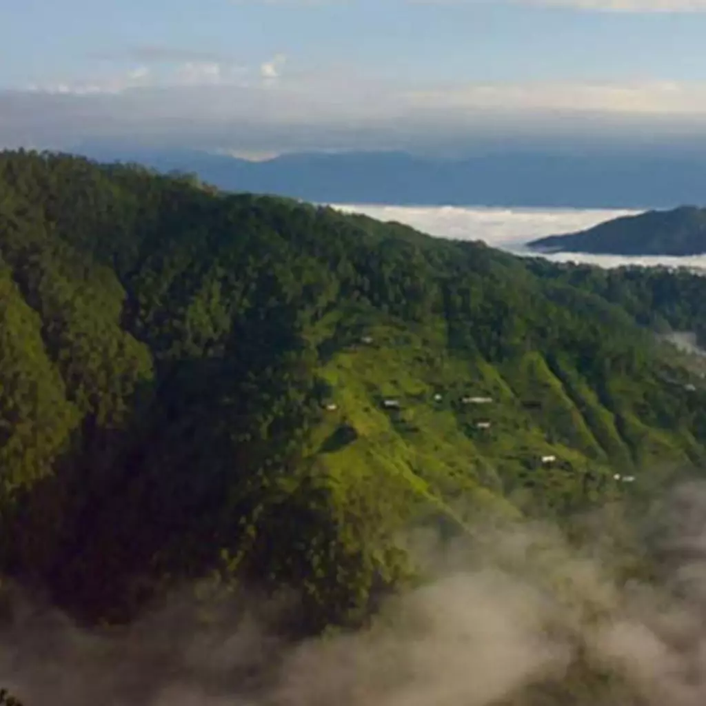 Binsar Binsar